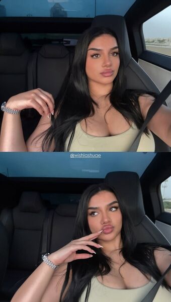 Alishbasheikh