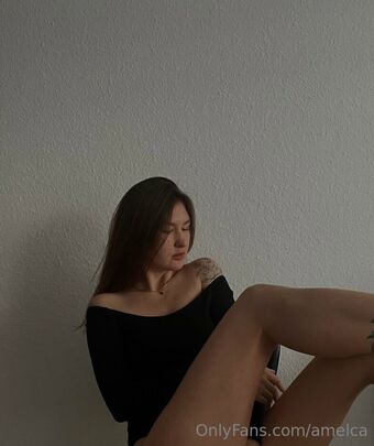 Amelca