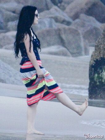 Amy Lee