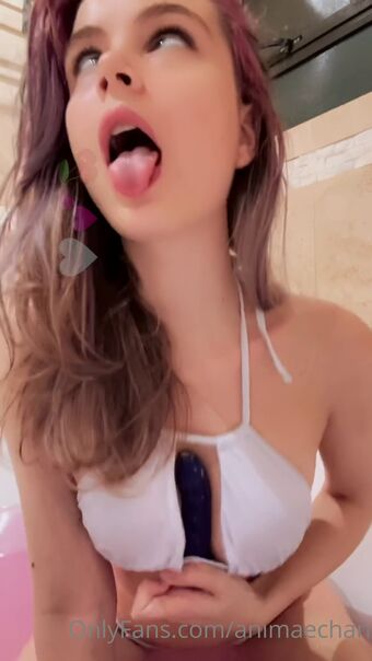 Animaechan