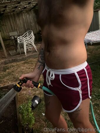 bbprince Nakenläckor OnlyFans Foto 15