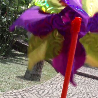 Brasileirinhas