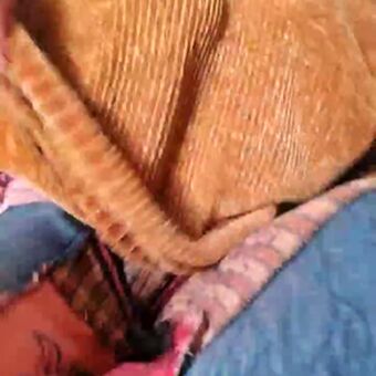 Cami Sweet Nakenläckor OnlyFans Foto 40