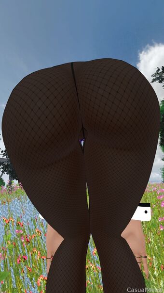 CasualMeowVR