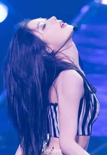 Chaeryeong Nakenläckor OnlyFans Foto 242