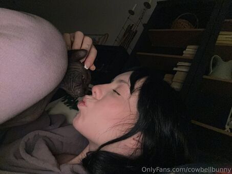 cowbellbunny