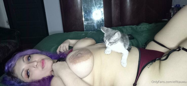 elfitauwu Nakenläckor OnlyFans Foto 16