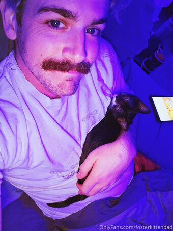 fosterkittendad
