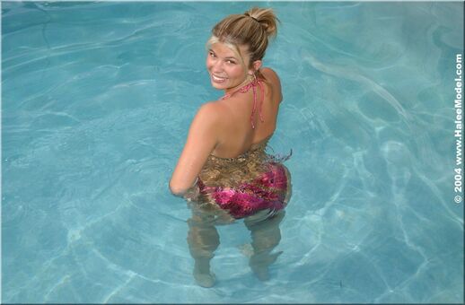 Halee Model