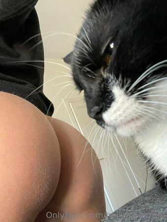 hollymoonvvip Nakenläckor OnlyFans Foto 3