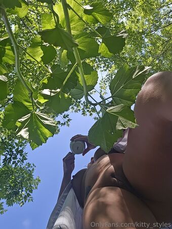 kitty_styles Nakenläckor OnlyFans Foto 19