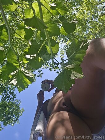 kitty_styles Nakenläckor OnlyFans Foto 20