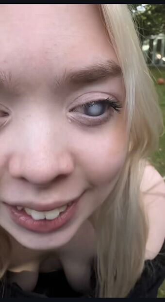 Kittysblind