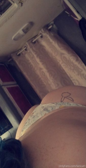 lanicat1