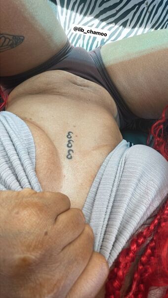 libchamoo Nakenläckor OnlyFans Foto 2