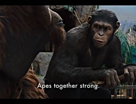 lilijunex Nakenläckor OnlyFans Foto 125