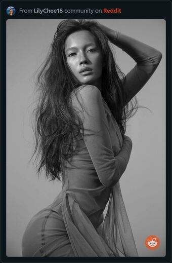 Lily Chee