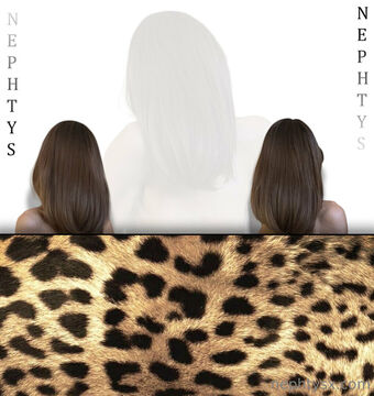 nephtysx