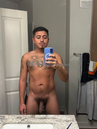 nvstyalex Nakenläckor OnlyFans Foto 31