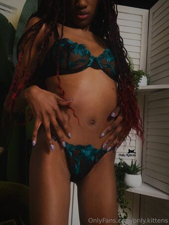 only.kittens Nakenläckor OnlyFans Foto 15