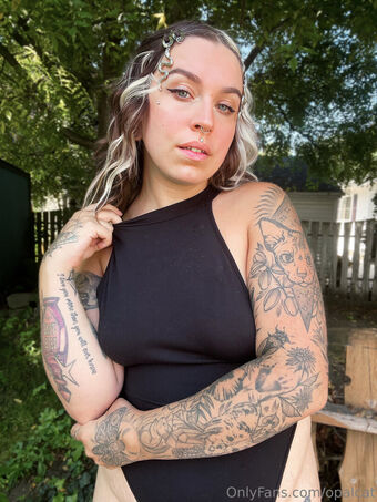 opalcat Nakenläckor OnlyFans Foto 15