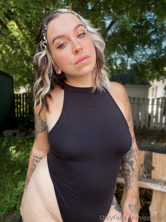 opalcat Nakenläckor OnlyFans Foto 17