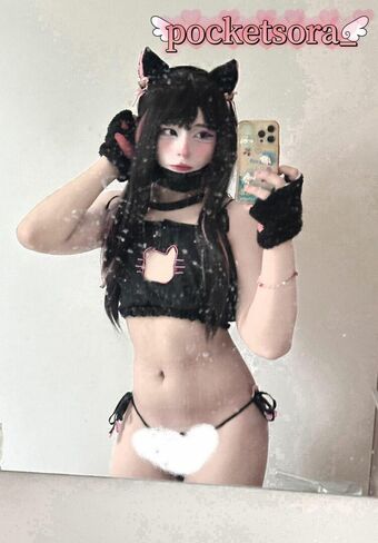 PocketSora Nakenläckor OnlyFans Foto 4