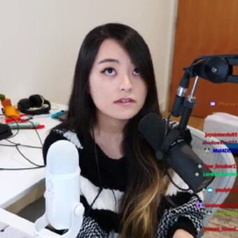 PotasticPanda
