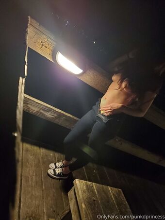 punkdprincess