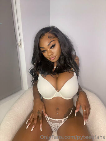 pyteeefans Nakenläckor OnlyFans Foto 15
