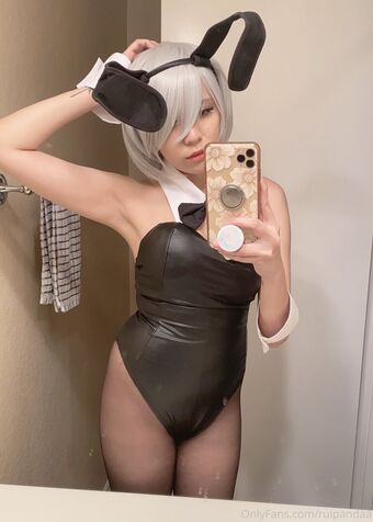 Ruipandaa