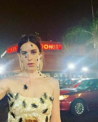 Scout Willis