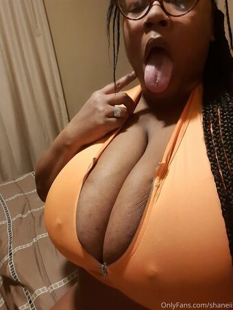 shaneii Nakenläckor OnlyFans Foto 29