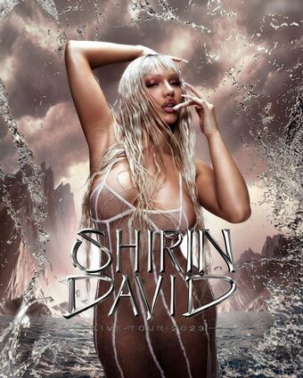 Shirin David