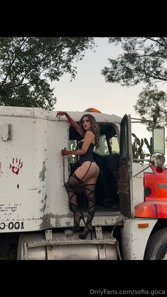 sofia.goca Nakenläckor OnlyFans Foto 14