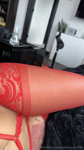 sofiaryuk_free Nakenläckor OnlyFans Foto 10