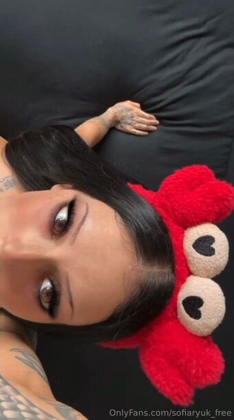 sofiaryuk_free Nakenläckor OnlyFans Foto 13