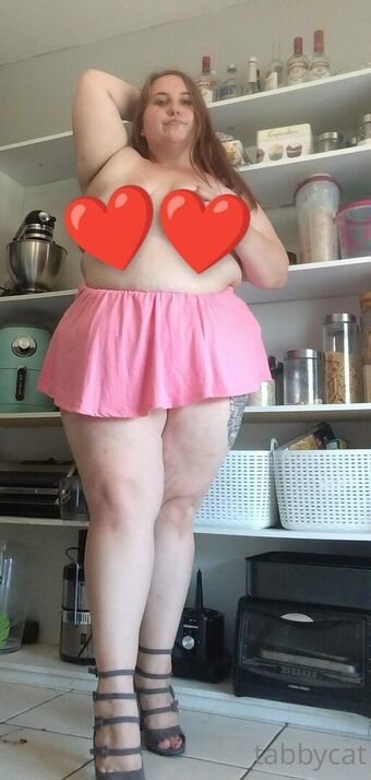 tabby_cat95