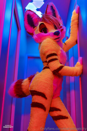 thatyellowkitty