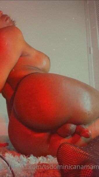 tsdominicanamami