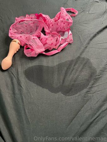 valentinemae Nakenläckor OnlyFans Foto 8