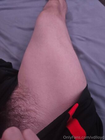 vdlloyd Nakenläckor OnlyFans Foto 8