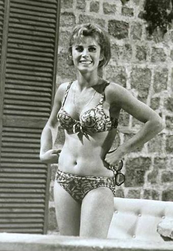 Vintage Starlets