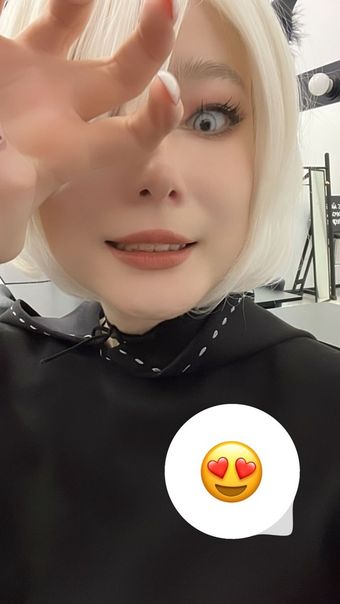 visagefox
