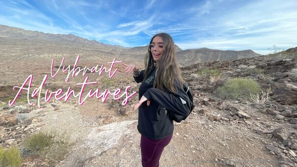 vybrantvibesofficial