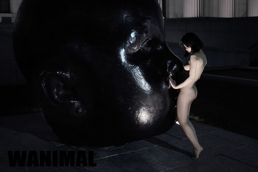 Wanimal Models