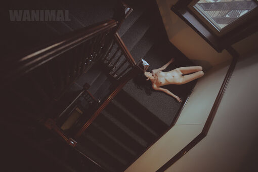 Wanimal Models Nakenläckor OnlyFans Foto 370