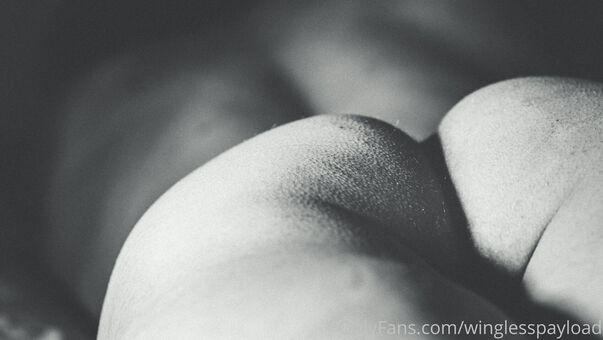 winglesspayload Nakenläckor OnlyFans Foto 6