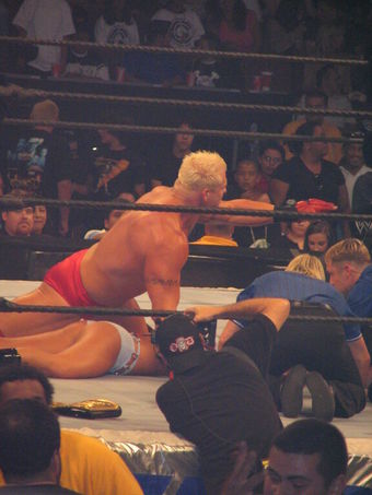 WWE Michelle McCool